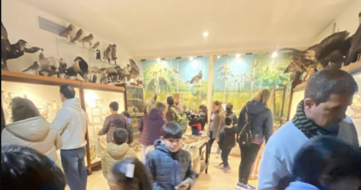 El Museo de Historia Natural recibe a las familias durante las vacaciones de invierno
